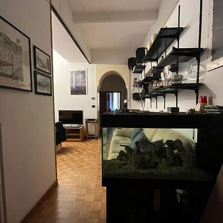 Apartament Red Sun Acquarium Bolonia Zewnętrze zdjęcie