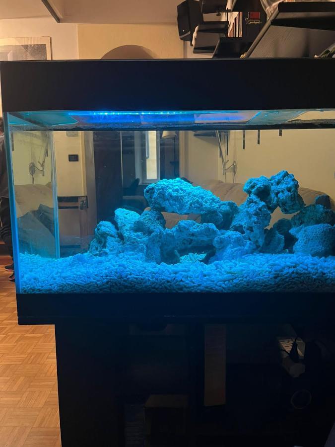 Apartament Red Sun Acquarium Bolonia Zewnętrze zdjęcie